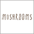 Новая веранда открылась в ресторане Mushrooms Новая веранда открылась в ресторане Mushrooms